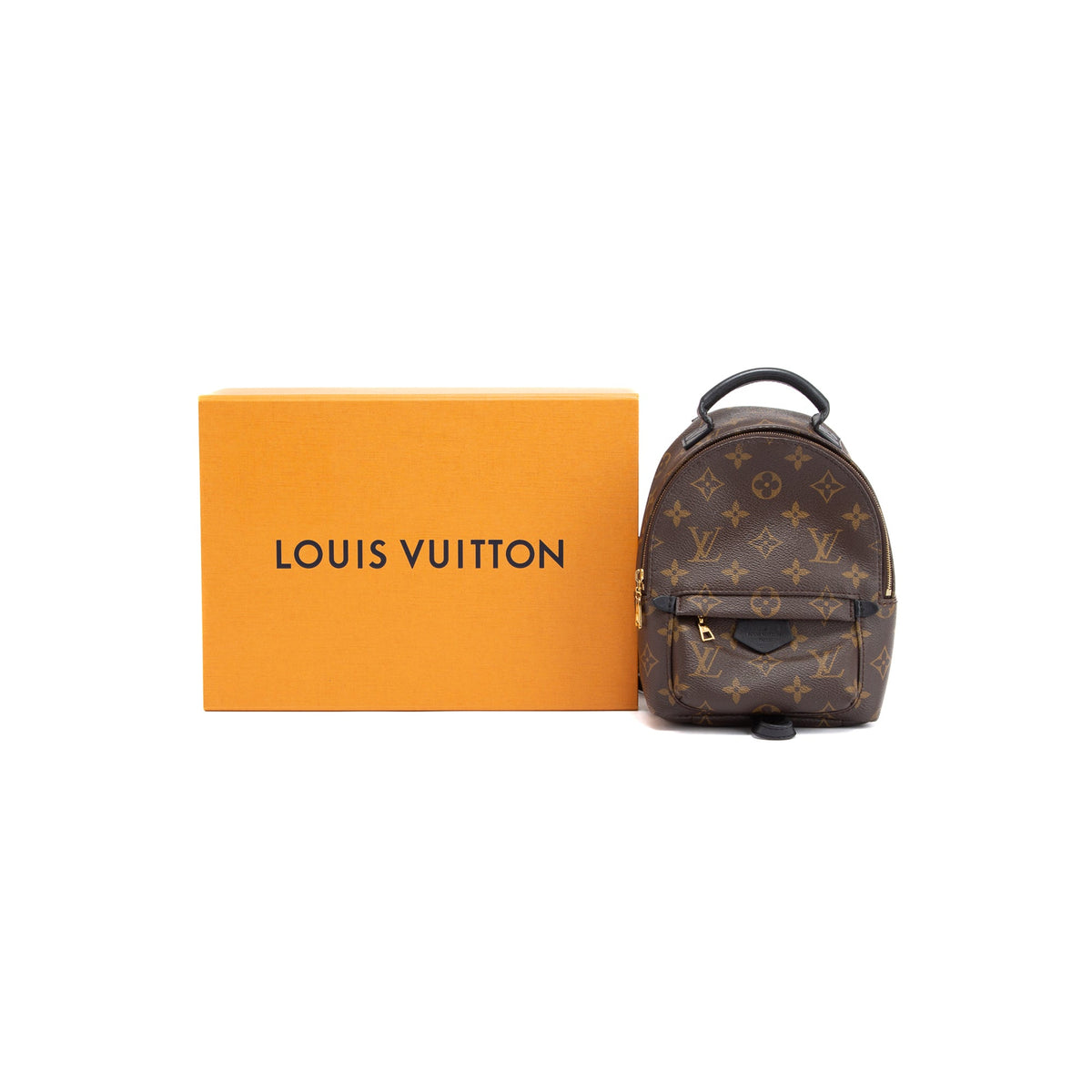 Louis Vuitton Palm Springs Mini Monogram