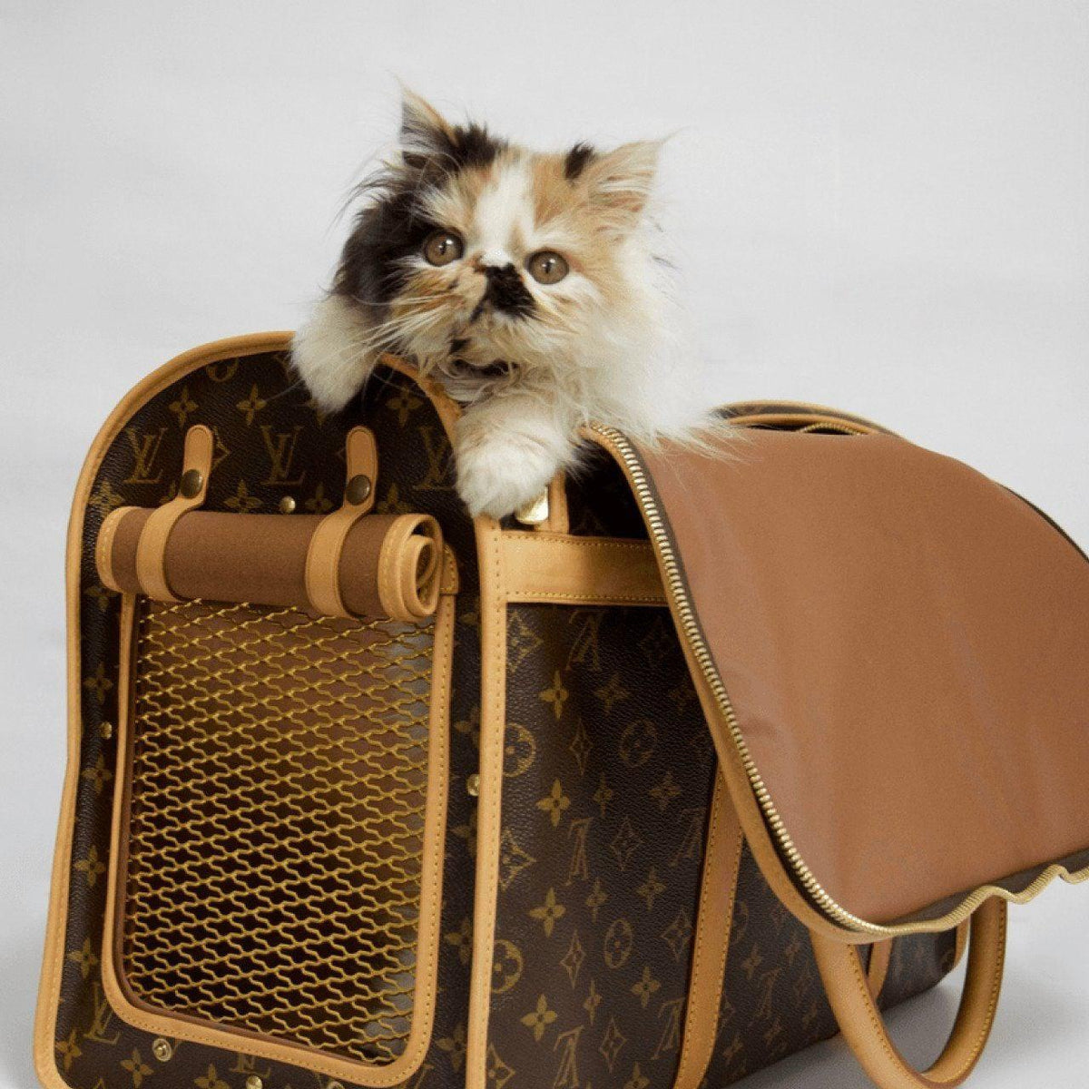 Louis Vuitton Cat Carrier 