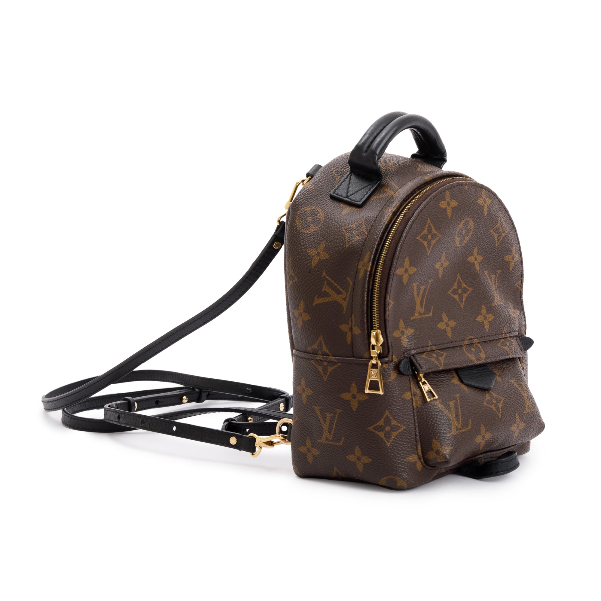 Louis Vuitton 2020 Monogram Palm Springs Mini Backpack – Oliver