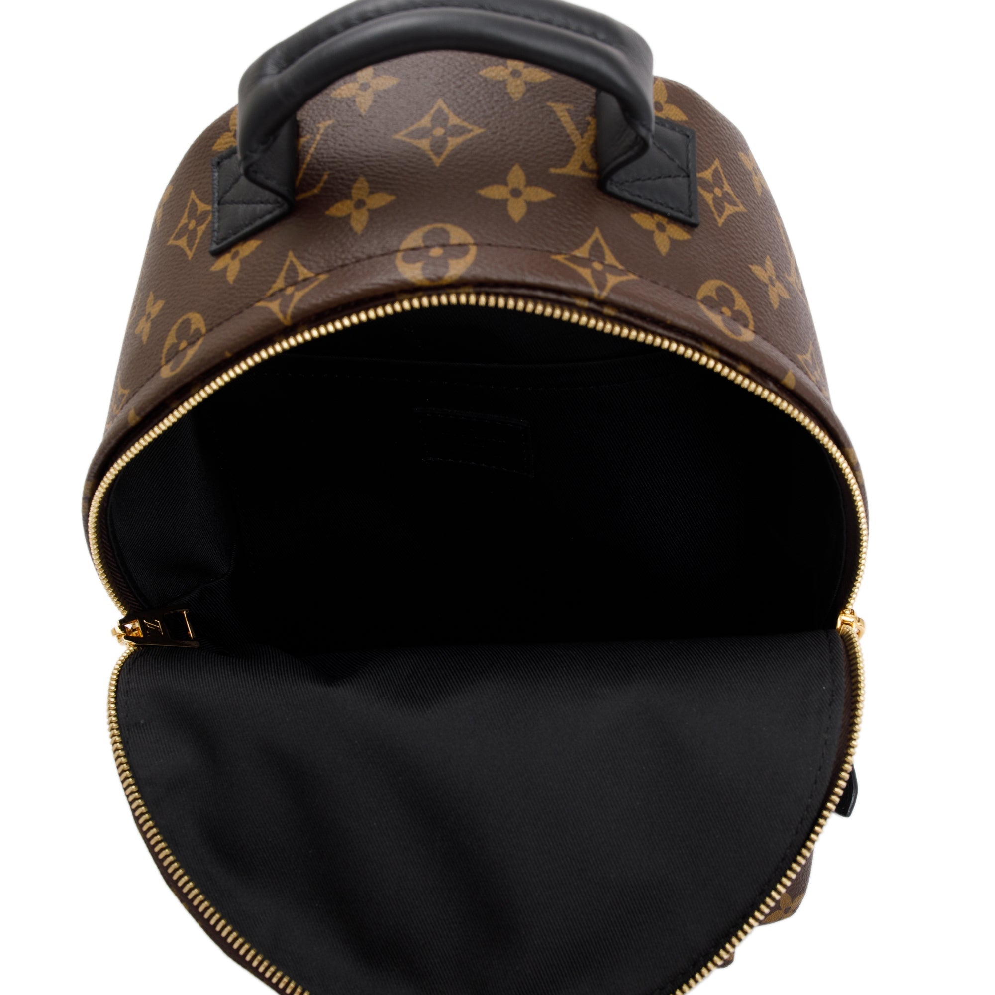 Louis Vuitton palm spring backpack