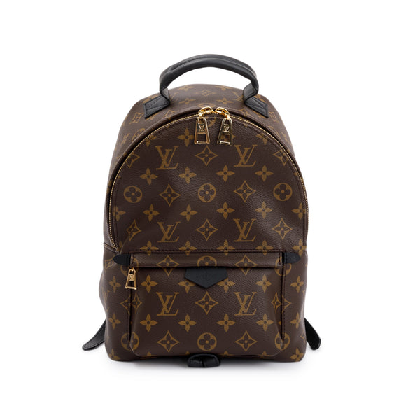 Louis Vuitton palm spring backpack