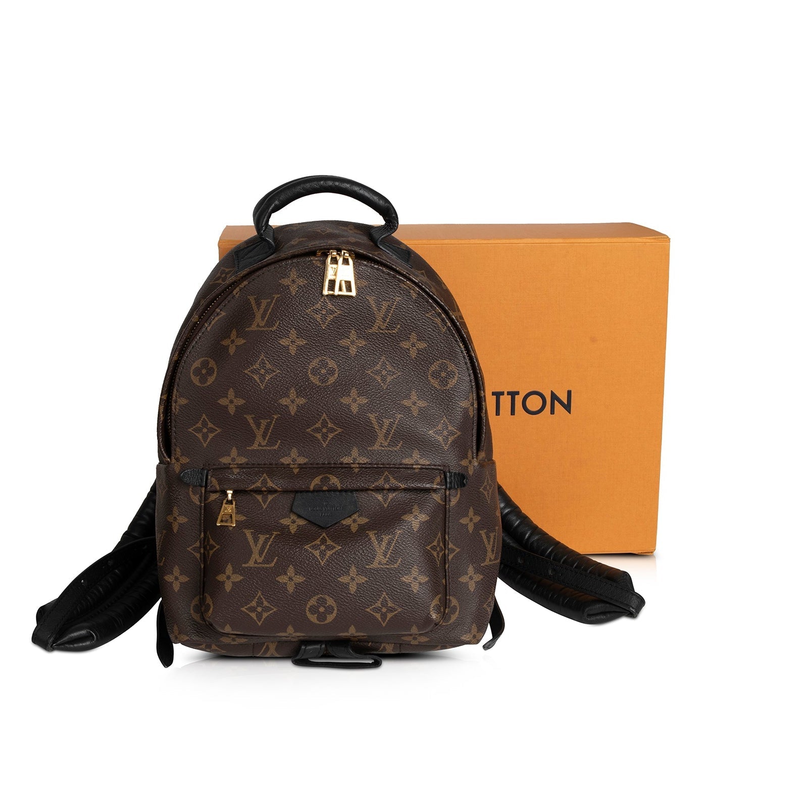 LOUIS VUITTON Palm Springs Backpack PM